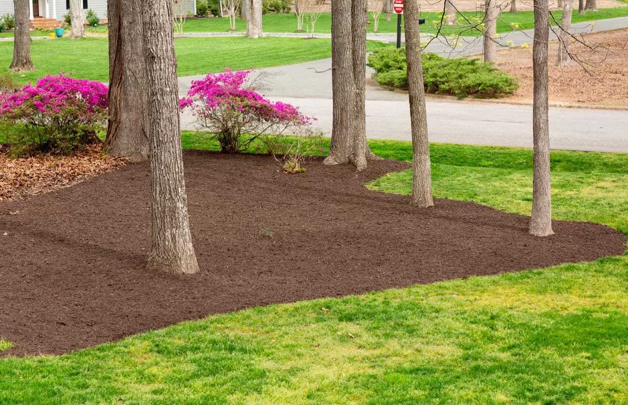 Transform Your Yard with Beautiful Mulch Installations image