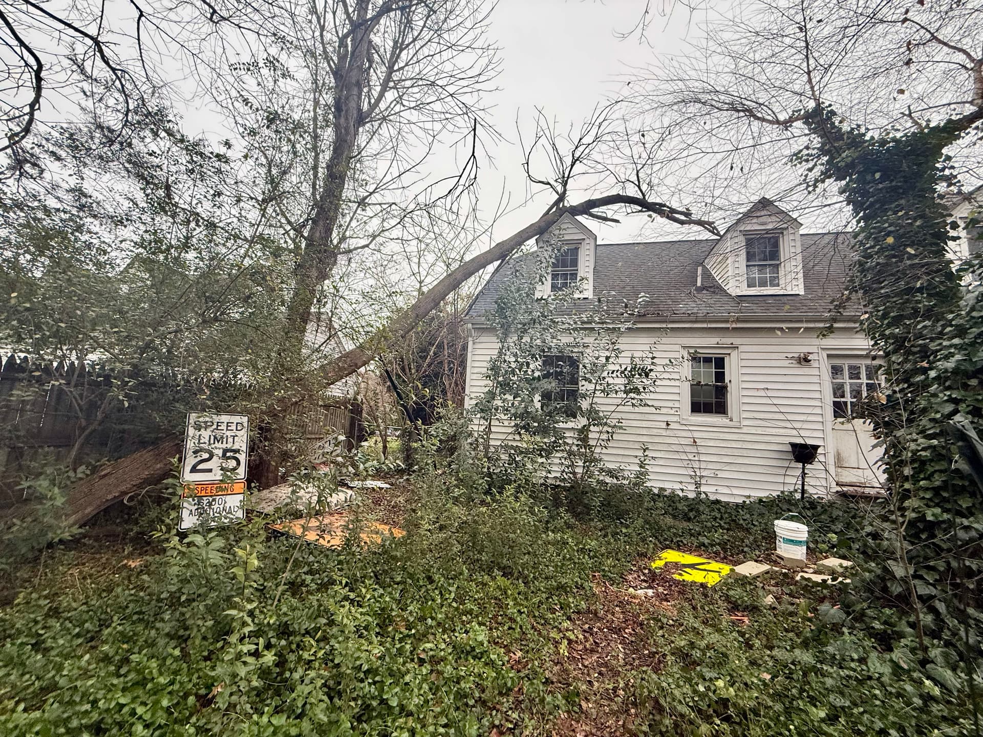 Restoring Order to Your Backyard Haven image