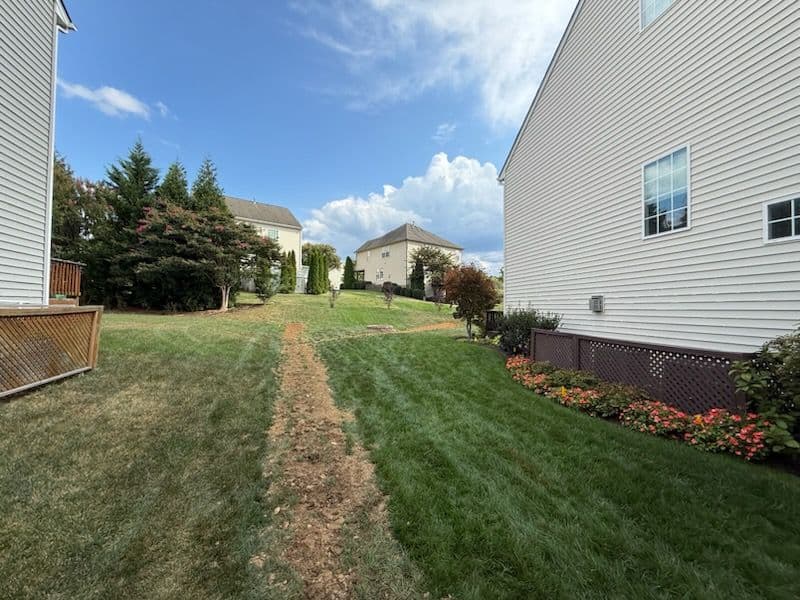 Project Transformative Backyard Drainage Solution for Water Control image