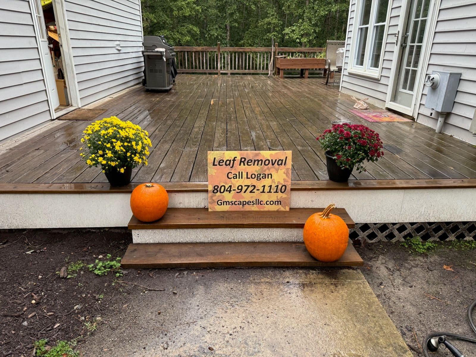 Efficient Leaf Removal Services for Hassle-Free Fall image