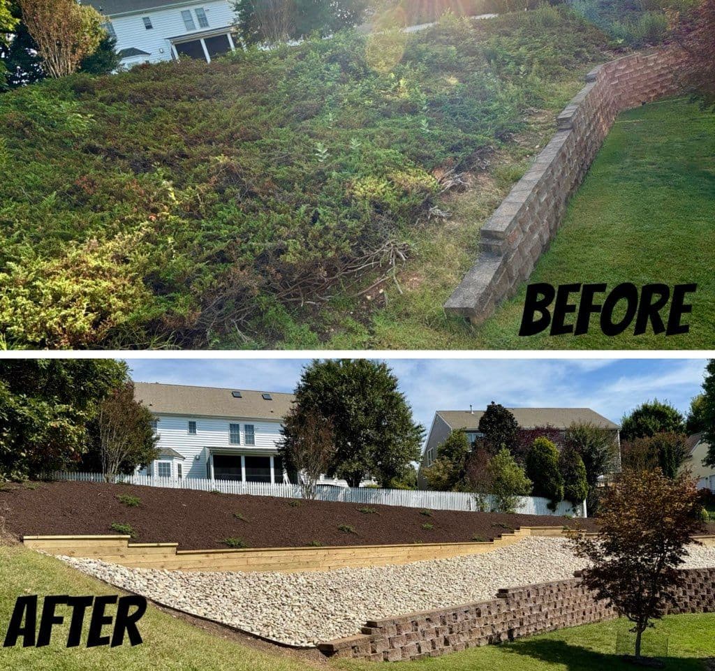 Gallery photos for Overgrown Slope Transformed into Elegant Landscape: Image #2