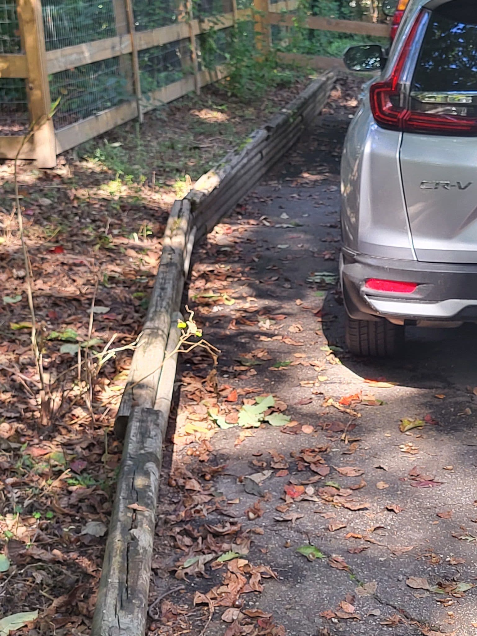 Project Turning a Crumbling Border into a Sturdy Retaining Wall image