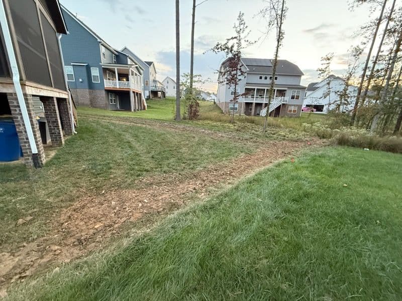 Expert Drainage Solutions Enhance Backyard Usability image