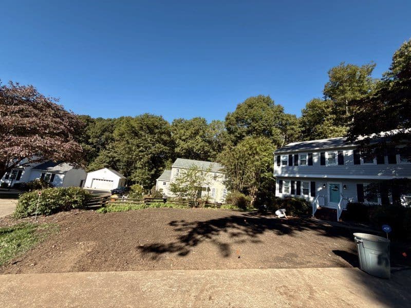 Project Lawn Transformation in Walton Park image