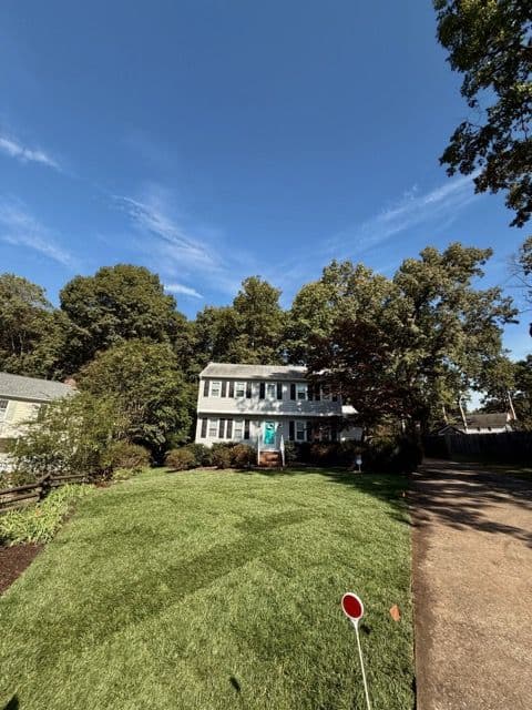 Gallery photos for Lawn Transformation in Walton Park: Image #2