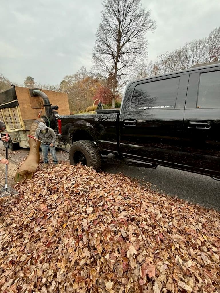 Fall Leaf Cleanup in Midlothian image