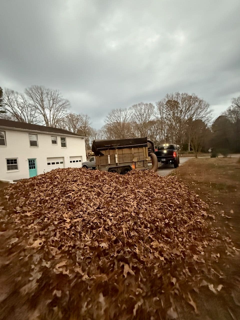 Project Efficient Fall Leaf Cleanup for a Pristine Yard image