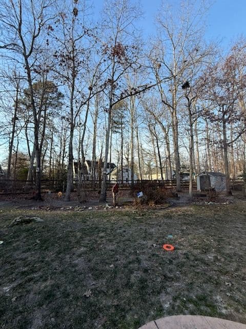 Project Backyard Cleanup in Queensmill image