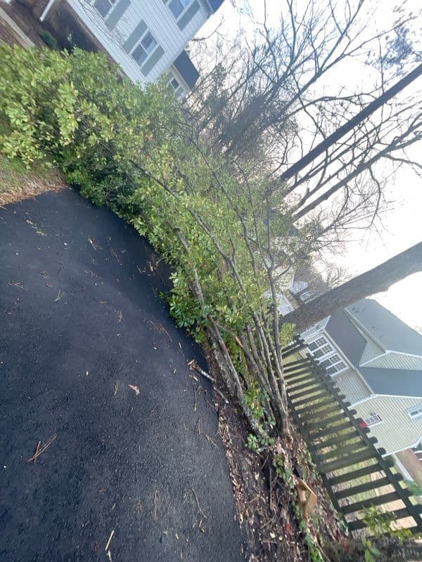 Project Storm Damage Cleanup in Walton Park image