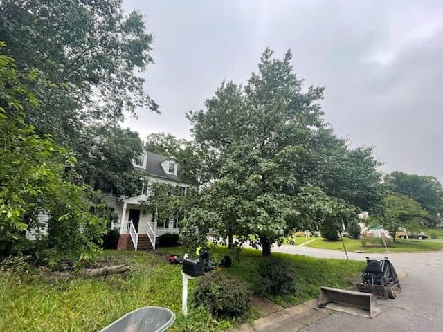 Gallery photos for Stunning Property Transformation with Expert Tree Services: Image #1