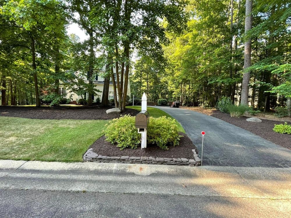 View of a serene residential driveway with a white mailbox surrounded by trees and landscaping.