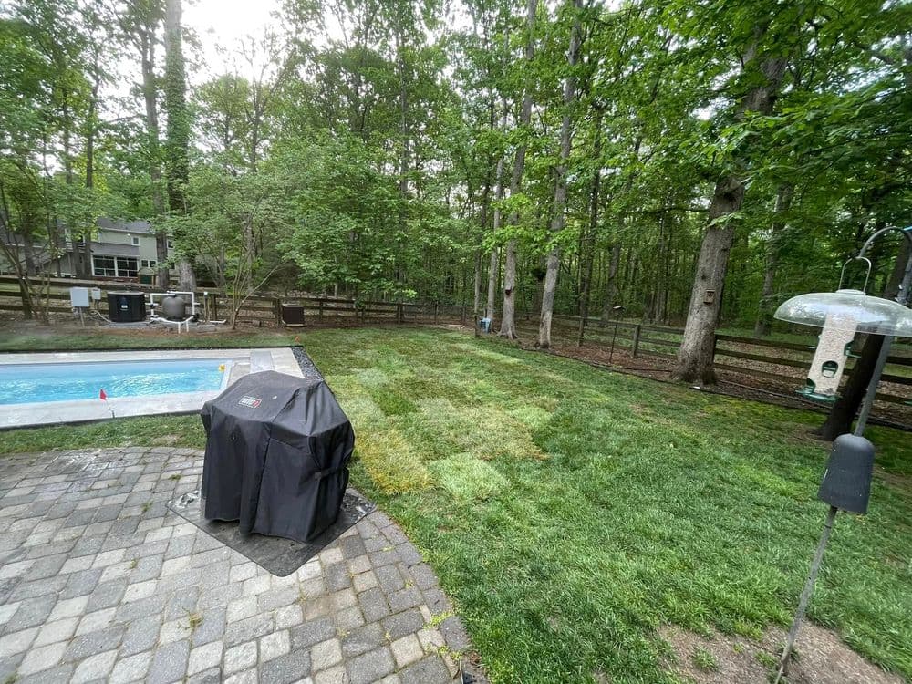 Backyard with a pool, grassy area, grill, and surrounding trees in a serene setting.