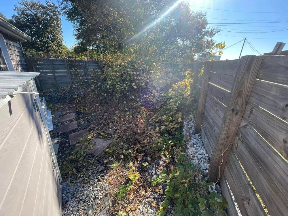 Overgrown garden space with vines and foliage beside a wooden fence and pathway.
