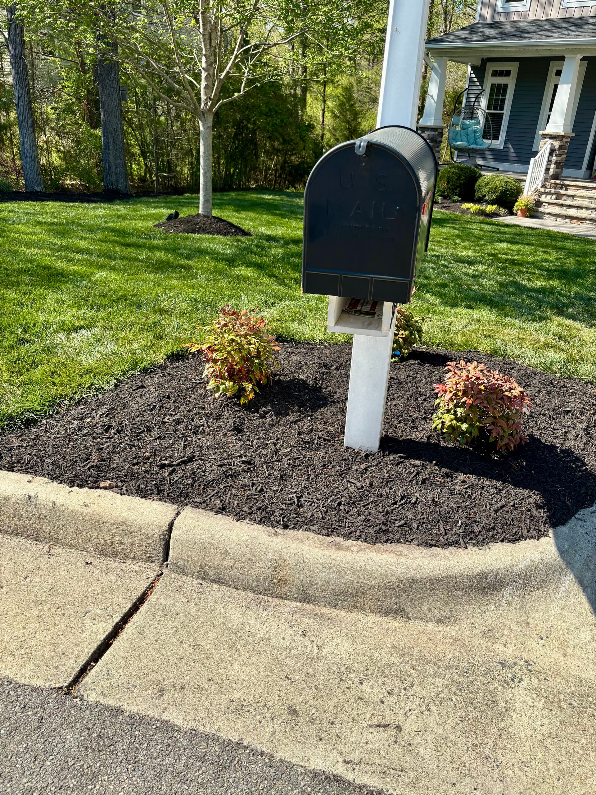 Gallery photos for Full-Yard Landscape Makeover with Mulch, Rock, and New Plants: Image #1