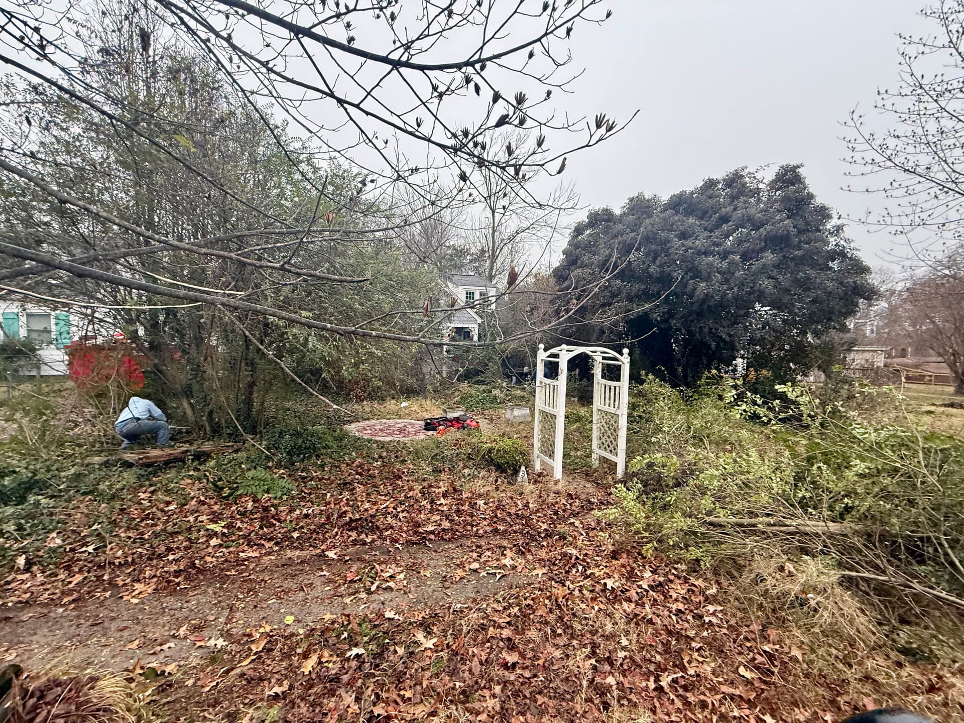 Tree Clearing and Yard Cleanup in Richmond image