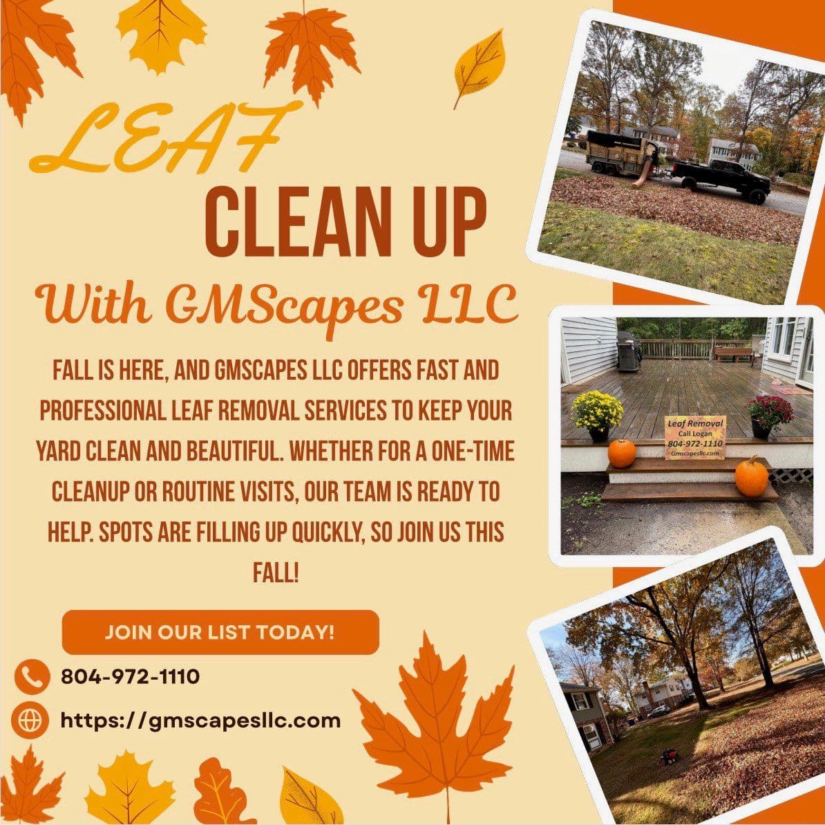 Efficient Leaf Clean Ups with GMScapes LLC image