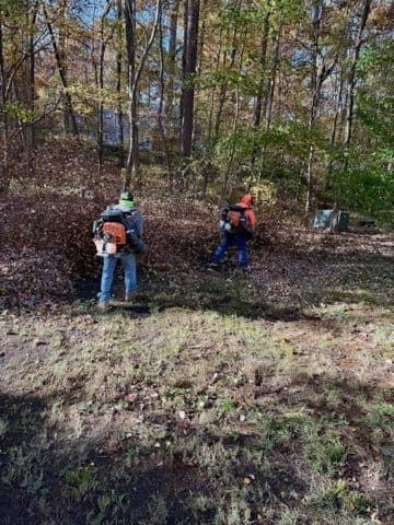 Gallery photos for Efficient Leaf Clean Ups with GMScapes LLC: Image #1