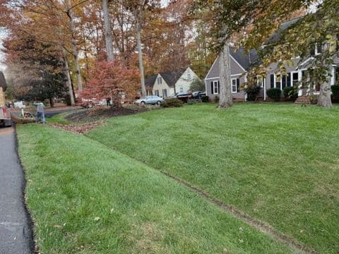 Gallery photos for Efficient Leaf Clean Ups with GMScapes LLC: Image #2