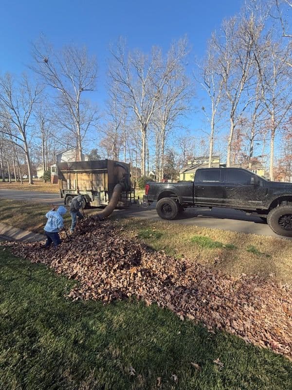 Gallery photos for Efficient Fall Leaf Cleanup for a Pristine Yard: Image #1