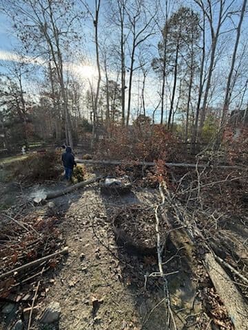 Gallery photos for Backyard Cleanup in Queensmill: Image #2